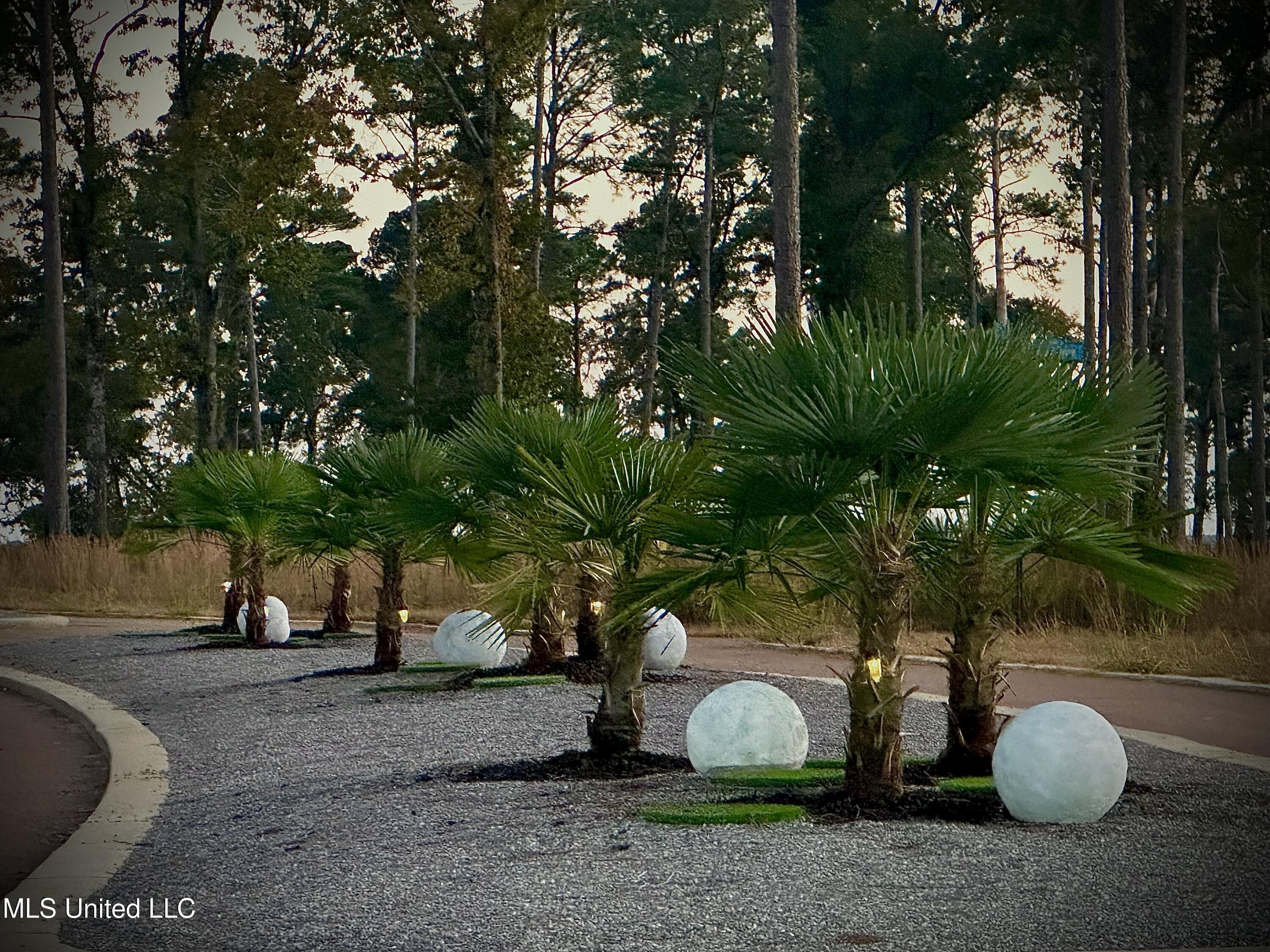103 Venus Drive Canton, MS 39046 - Photo 5 of 10 Expedition Point Apollo Way Palms