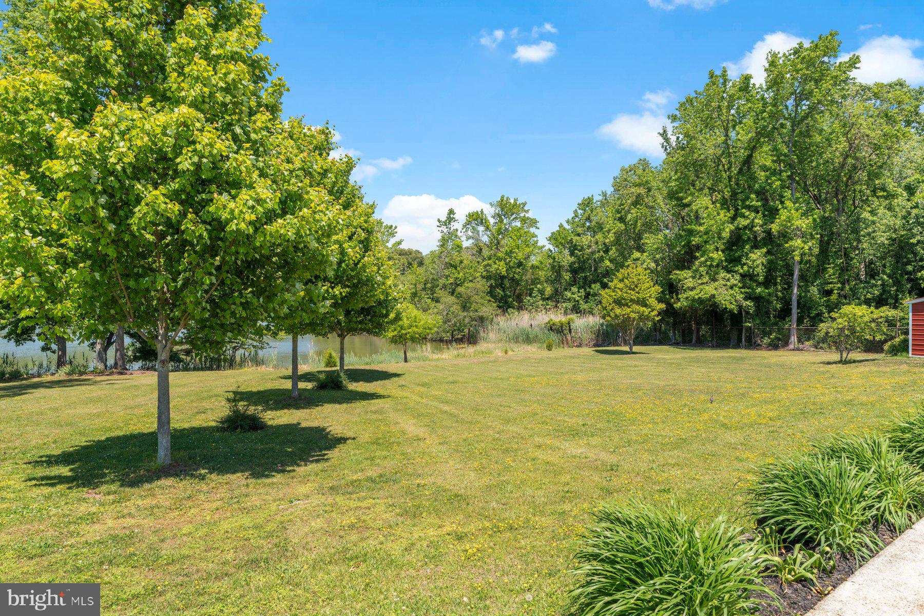 1518 Ridgely Drive Edgewater, MD 21037 - Photo 4 of 56 Peaceful Waterfront Yard