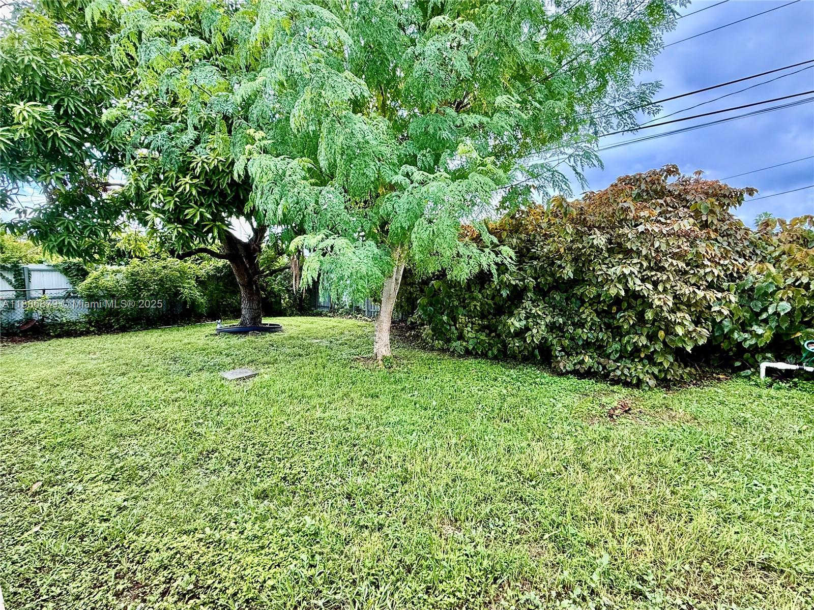 3310 Southwest 94th Place Miami, FL 33165 - Photo 4 of 24 a view of a garden with a tree