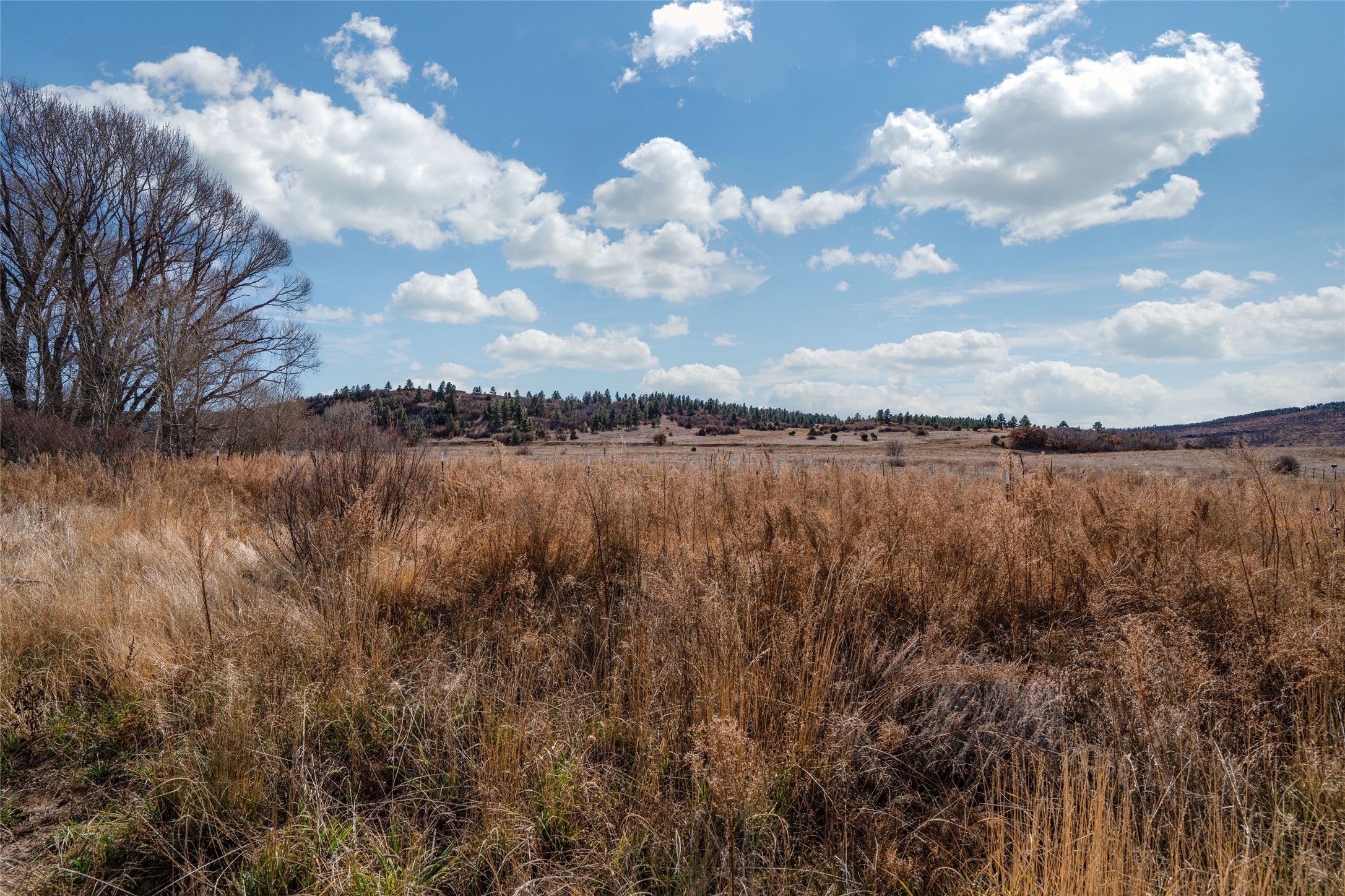 305 County Rd A1 Sapello, NM 87745 - Photo 34 of 34
