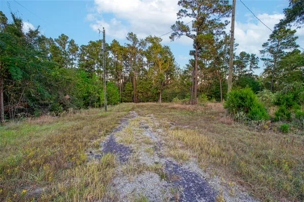 $17,000 | 184 Willow Drive, Onalaska, TX 77360