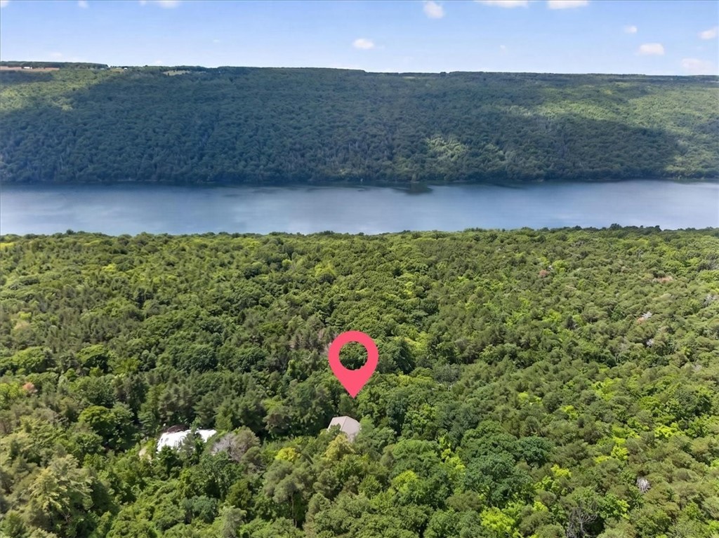 6595 State Route Springwater, NY 14560 - Photo 41 of 41