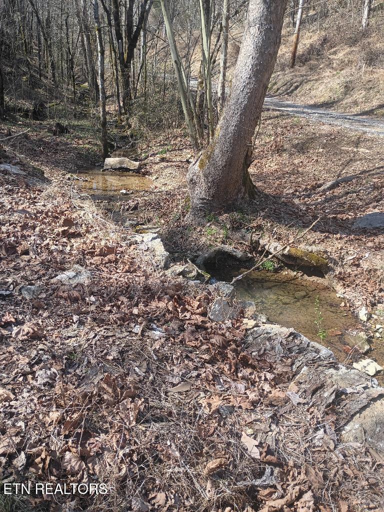 940 Riley Creek Road Whitleyville, TN 38588 - Photo 27 of 30 243123_10