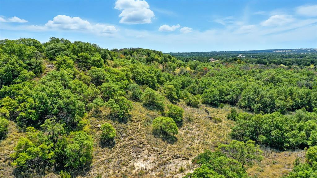 395 Pepper Lane Weatherford, TX 76088 - Photo 16 of 24 Drone / aerial view of a forest