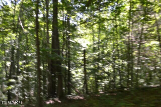 2390 Pea Ridge Fire Tower Road Celina, TN 38551 - Photo 21 of 58 DSC_0098