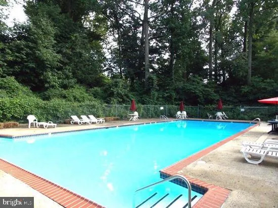 a view of a swimming pool with a yard