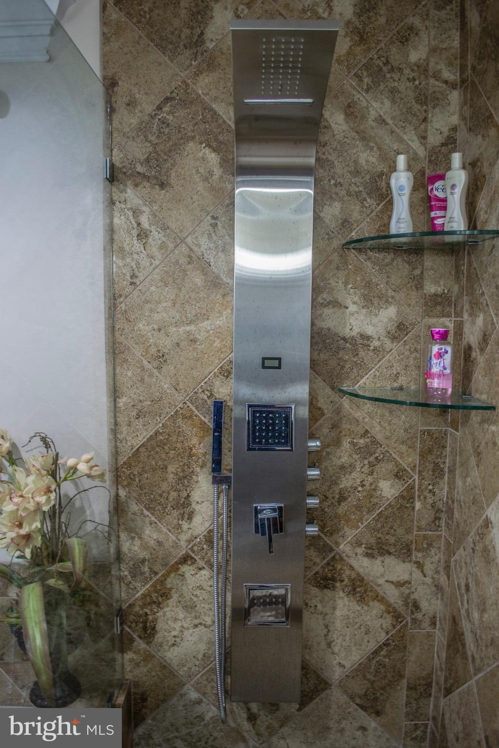 13721 Palm Road Woodbridge, VA 22193 - Photo 30 of 30 Shower