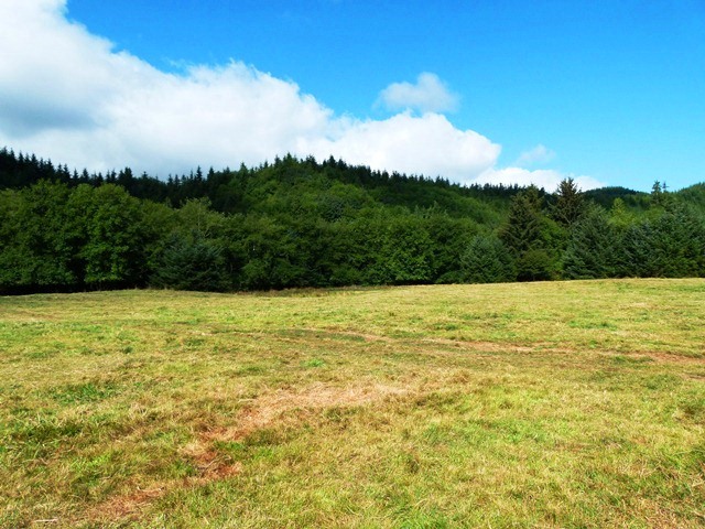 5945 Creekside Mdws Road Tillamook, OR 97141 - Photo 7 of 8 VIEW TO WEST