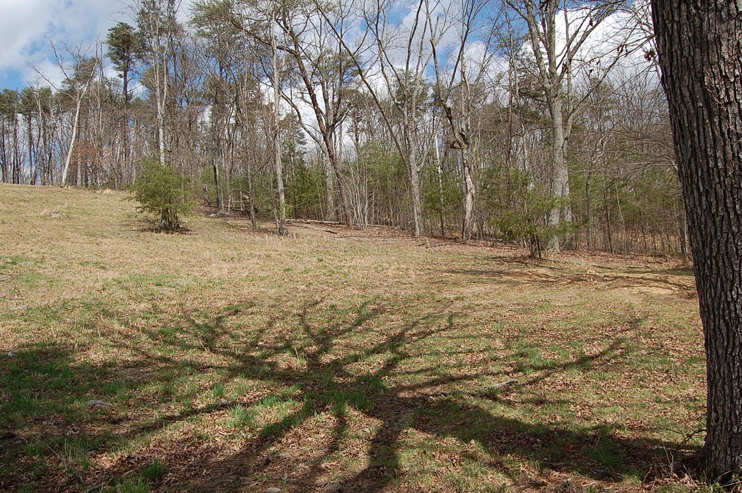0 Bennie Camp Road Dunlap, TN 37327 - Photo 32 of 32 Gallery Image 32