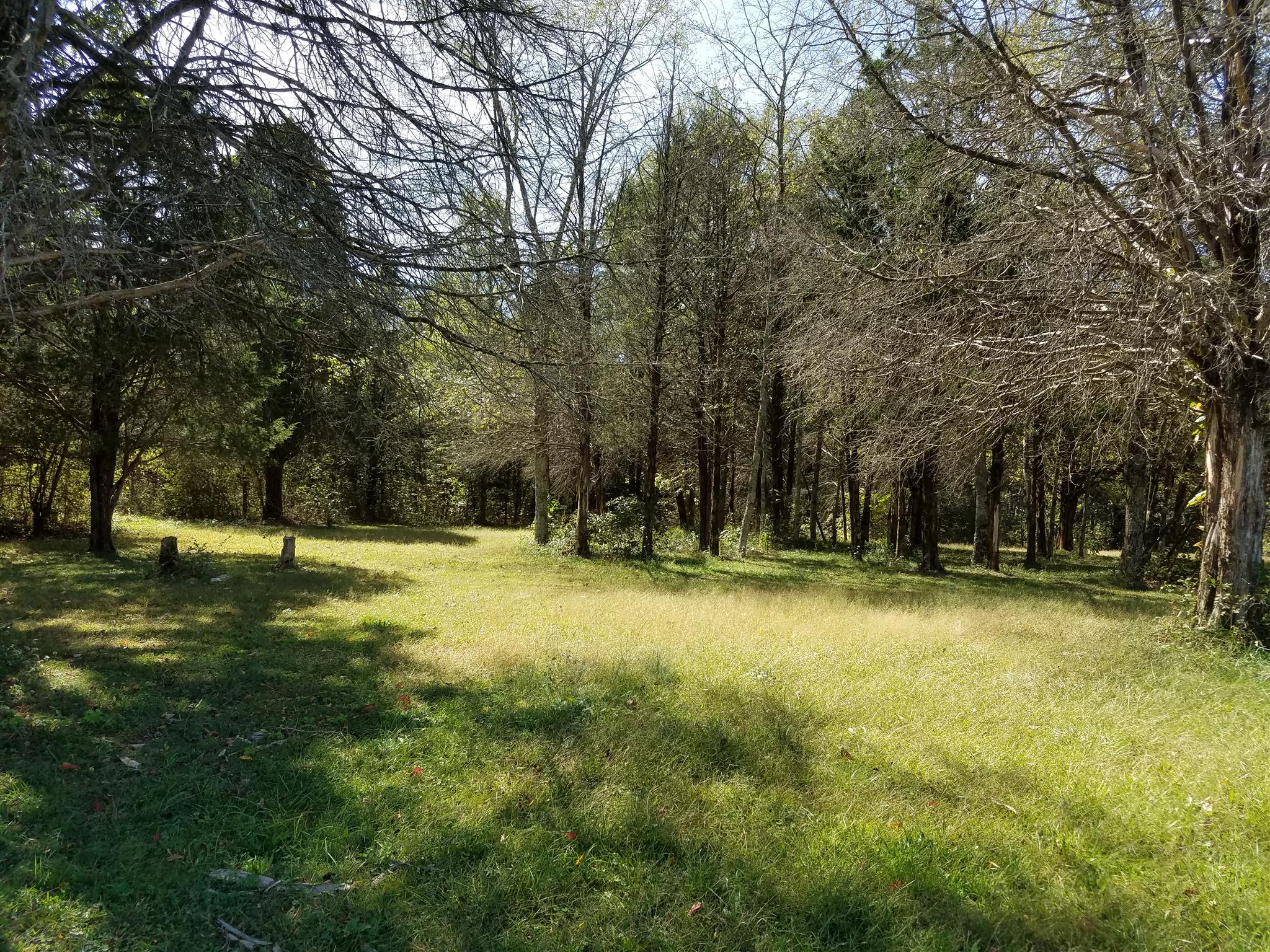 2980 Simmons Bluff Road Lebanon, TN 37090 - Photo 8 of 20 Gallery Image 8