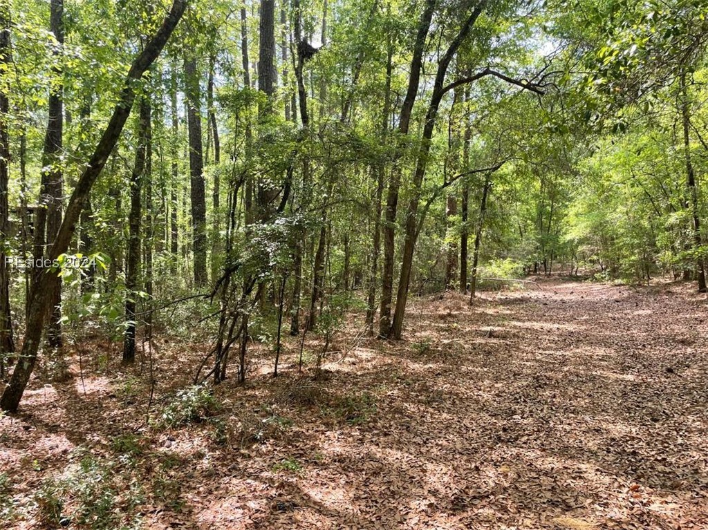 3481 Sand Hills Road Garnett, SC 29922 - Photo 34 of 47
