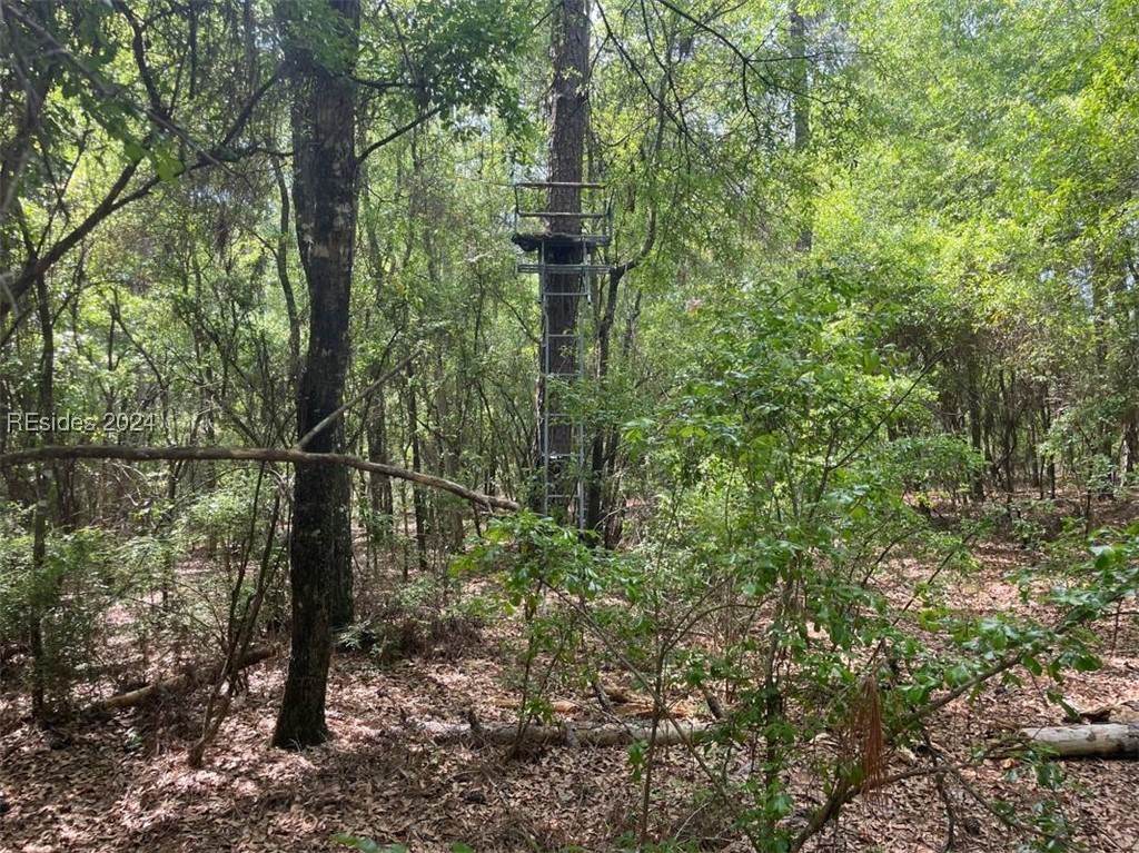 3481 Sand Hills Road Garnett, SC 29922 - Photo 43 of 47