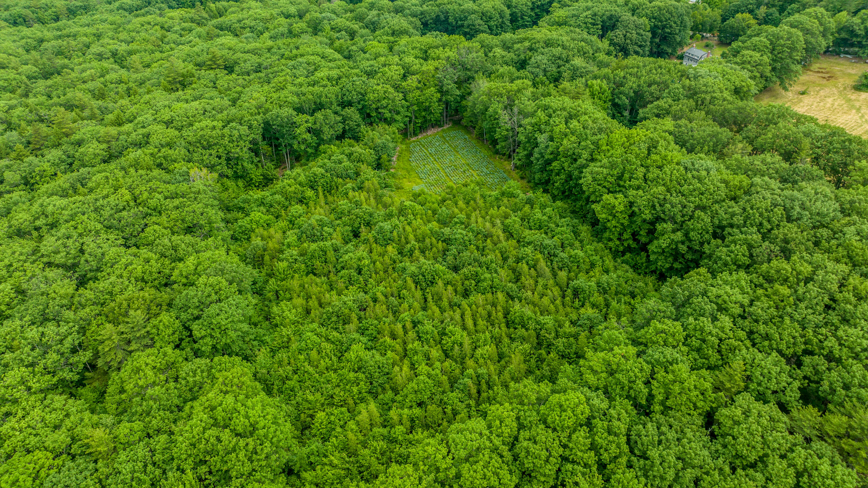741 A Beech Ridge Road North Berwick, ME 03906 - Photo 10 of 11 DJI_0010