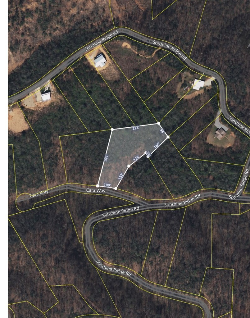 14 Cara Way Cosby, TN 37722 - Photo 13 of 18