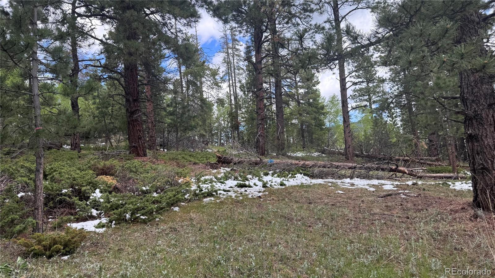717 Crescent Lake Road Golden, CO 80403 - Photo 13 of 27