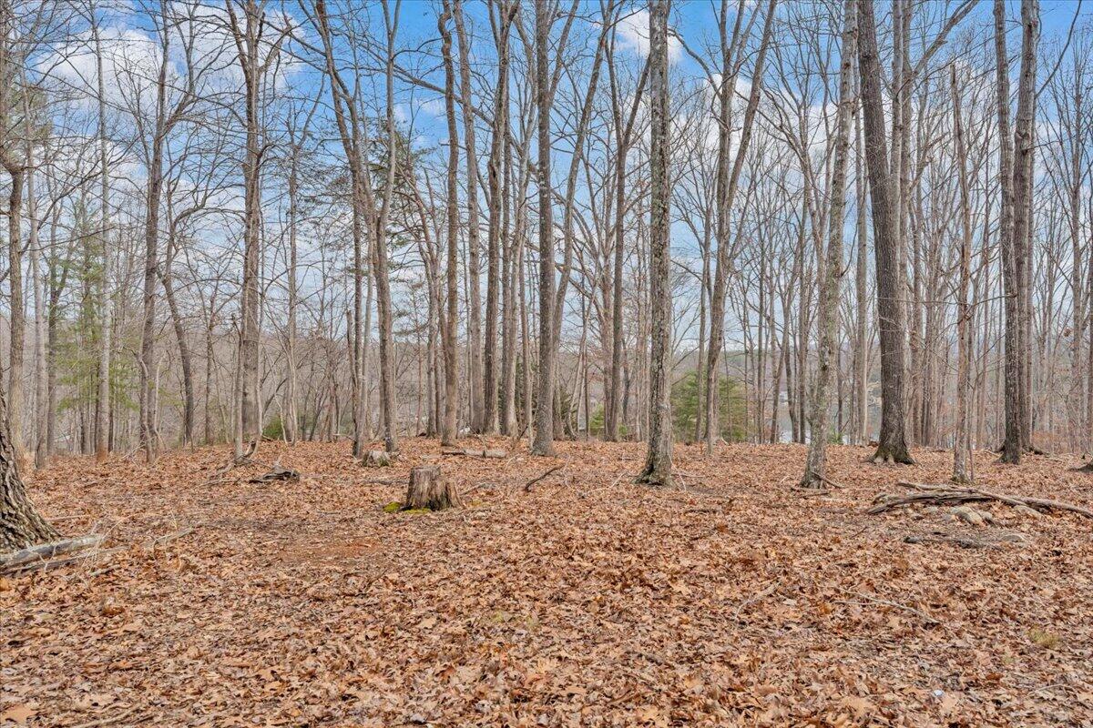 2768 Lake Retreat Road Huddleston, VA 24104 - Photo 79 of 92 a view of wooden fence with trees