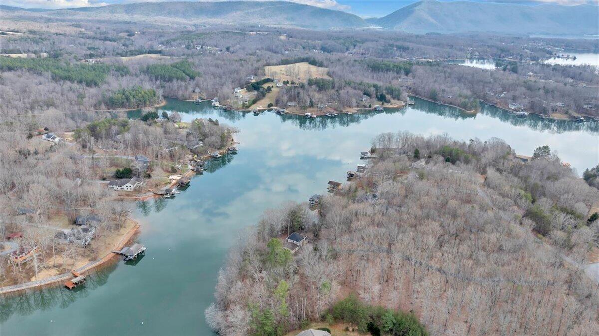 2768 Lake Retreat Road Huddleston, VA 24104 - Photo 85 of 92 a view of lake with green space