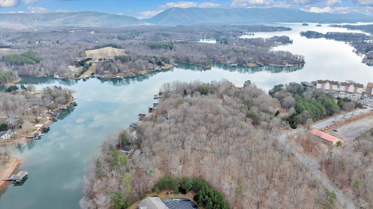 2768 Lake Retreat Road Huddleston, VA 24104 - Photo 86 of 92 a view of lake
