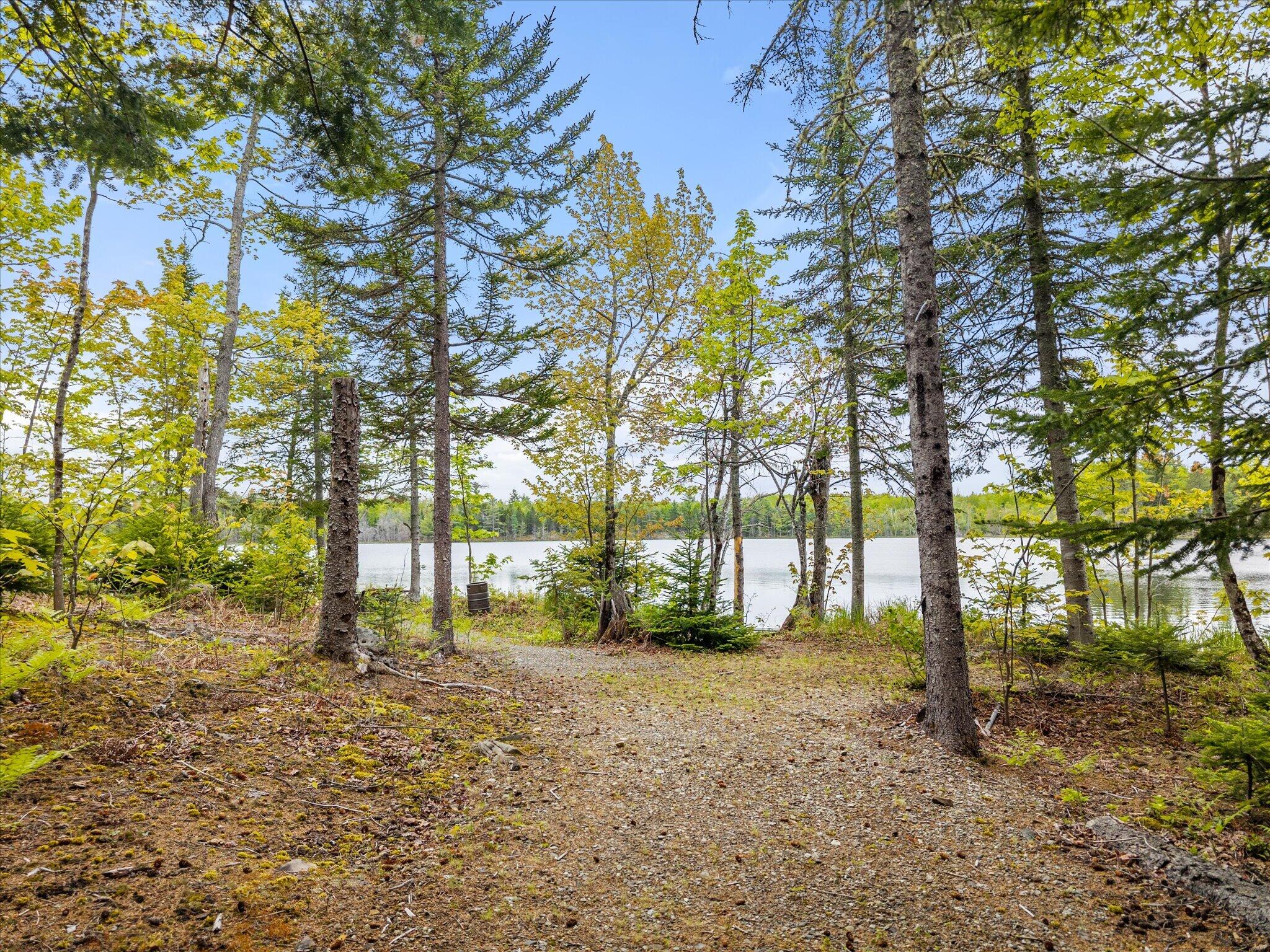 314 Atwood Pond Road Patten, ME 04765 - Photo 59 of 76 Shore frontage...