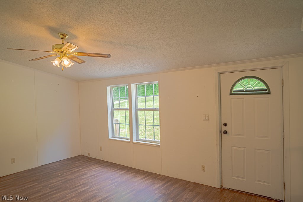967 Buck Run Road Mineral Wells, WV 26150 - Photo 2 of 50 Entry area featuring a white paneled door with an arched glass insert, wood-finish flooring, two large windows, and a ceiling fan with integrated lighting