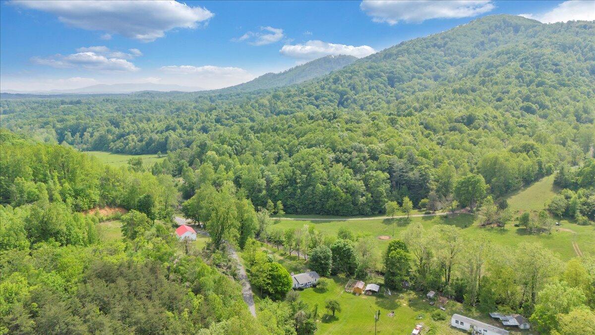 1567 Runnett Bag Road Ferrum, VA 24088 - Photo 50 of 59 57-DJI_20250501155620_0011_D