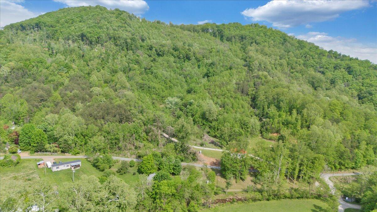 1567 Runnett Bag Road Ferrum, VA 24088 - Photo 53 of 59 60-DJI_20250501155730_0014_D