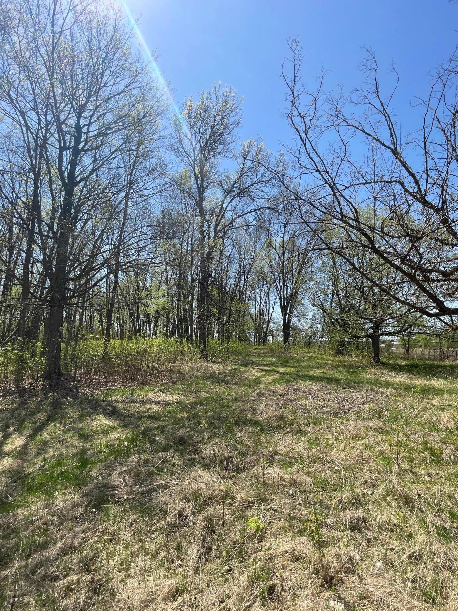 Tbd Stark Road Harris, MN 55032 - Photo 1 of 1 Gallery Image 1