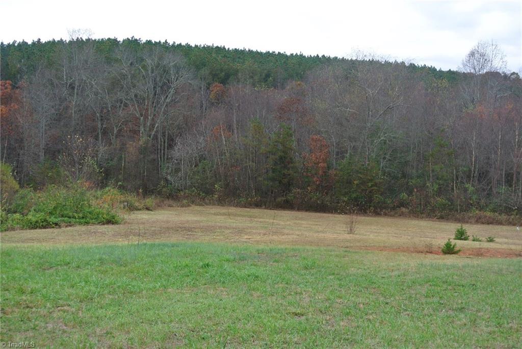 2.07 Venable Road Pinnacle, NC 27043 - Photo 2 of 25