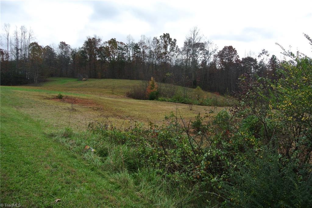 2.07 Venable Road Pinnacle, NC 27043 - Photo 15 of 25