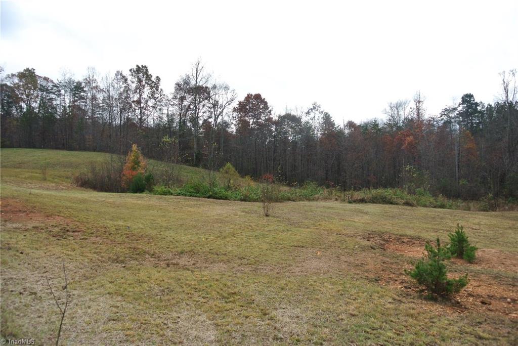 2.07 Venable Road Pinnacle, NC 27043 - Photo 16 of 25