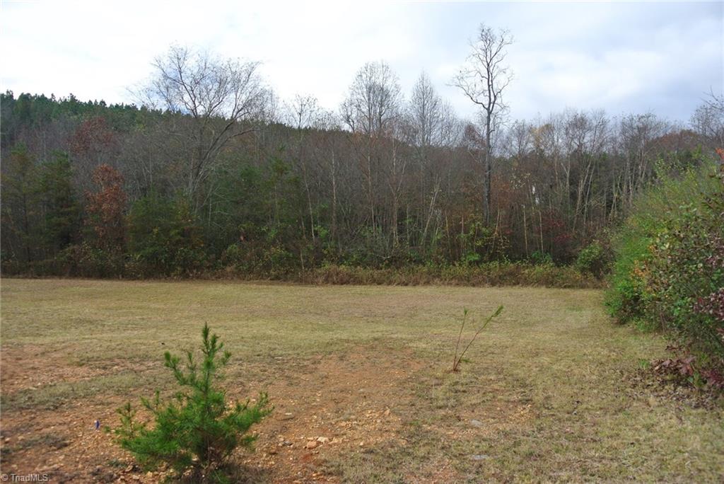 2.07 Venable Road Pinnacle, NC 27043 - Photo 17 of 25