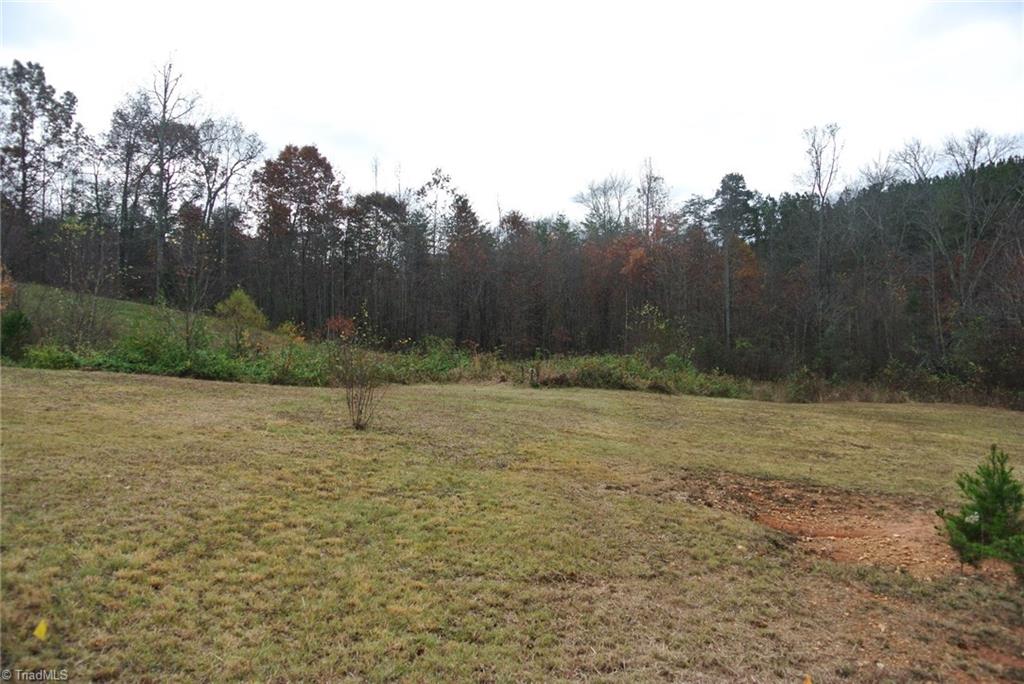 2.07 Venable Road Pinnacle, NC 27043 - Photo 18 of 25