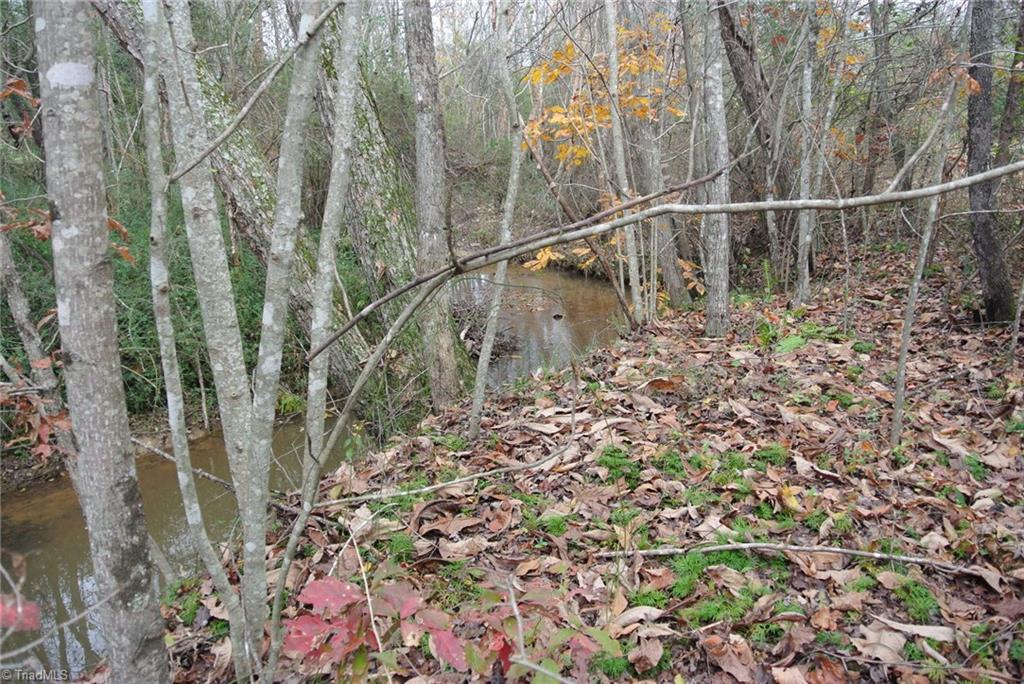 2.07 Venable Road Pinnacle, NC 27043 - Photo 20 of 25