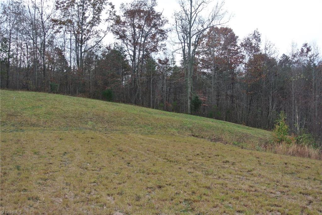 2.07 Venable Road Pinnacle, NC 27043 - Photo 4 of 25