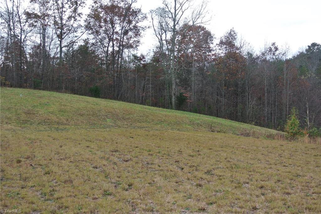 2.07 Venable Road Pinnacle, NC 27043 - Photo 5 of 25