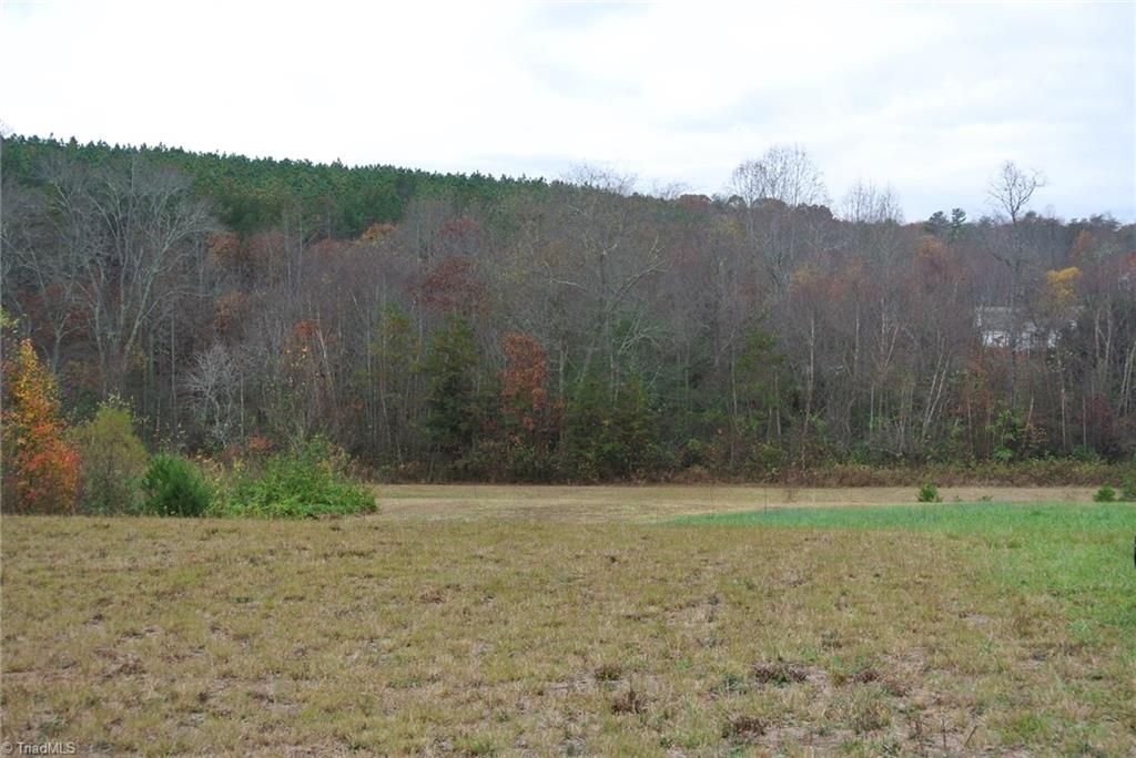 2.07 Venable Road Pinnacle, NC 27043 - Photo 6 of 25