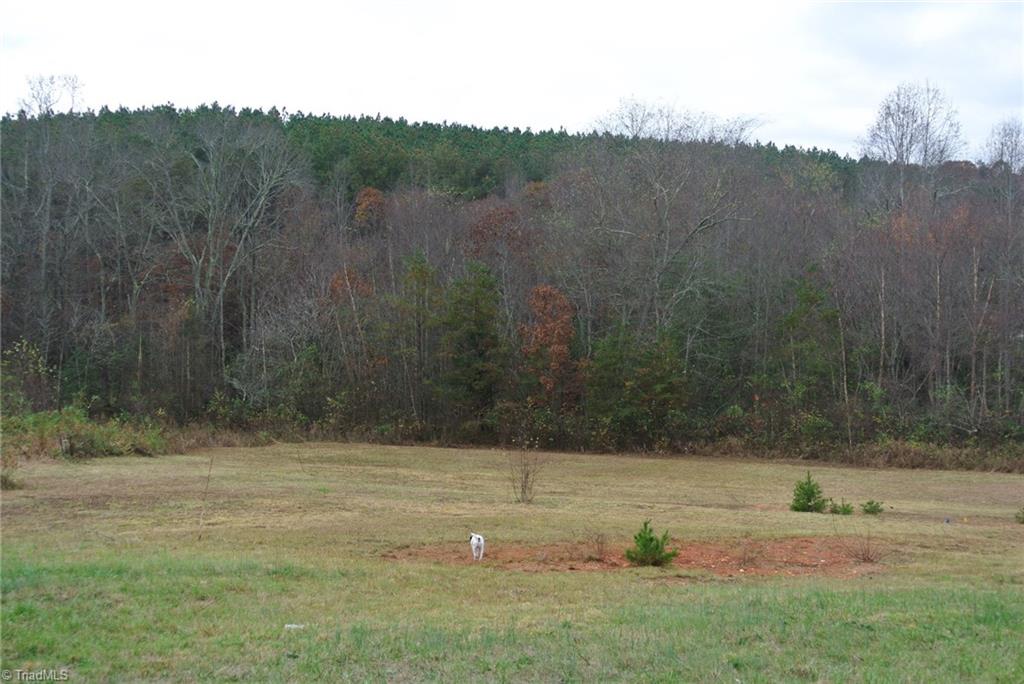 2.07 Venable Road Pinnacle, NC 27043 - Photo 8 of 25