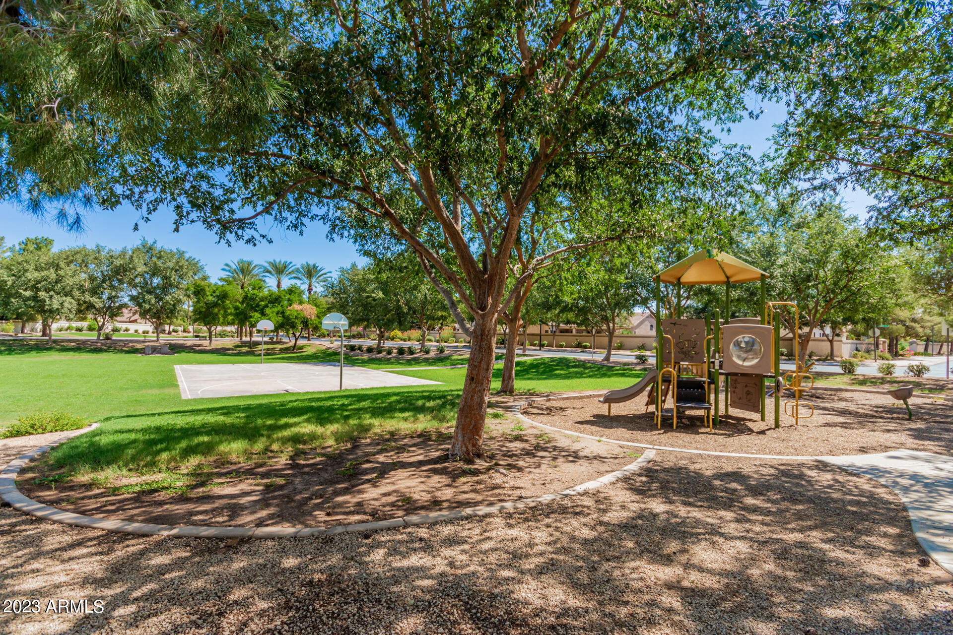 3064 East Millbrae Lane Gilbert, AZ 85234 - Photo 37 of 79 0036-37 - Millbrae