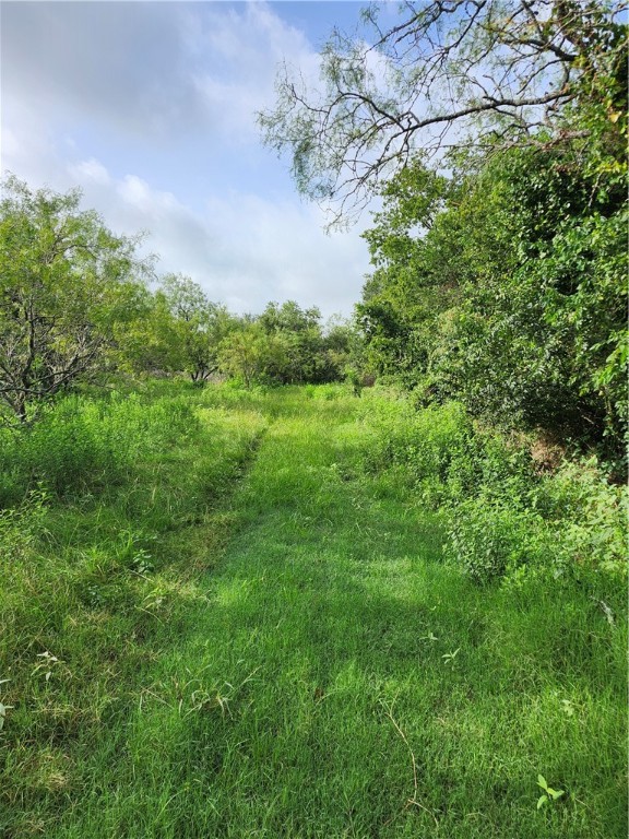 1202 Park Street Marlin, TX 76661 - Photo 11 of 17