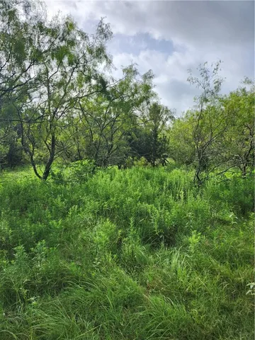 $100,000 | 1202 Park Street, Marlin, TX 76661