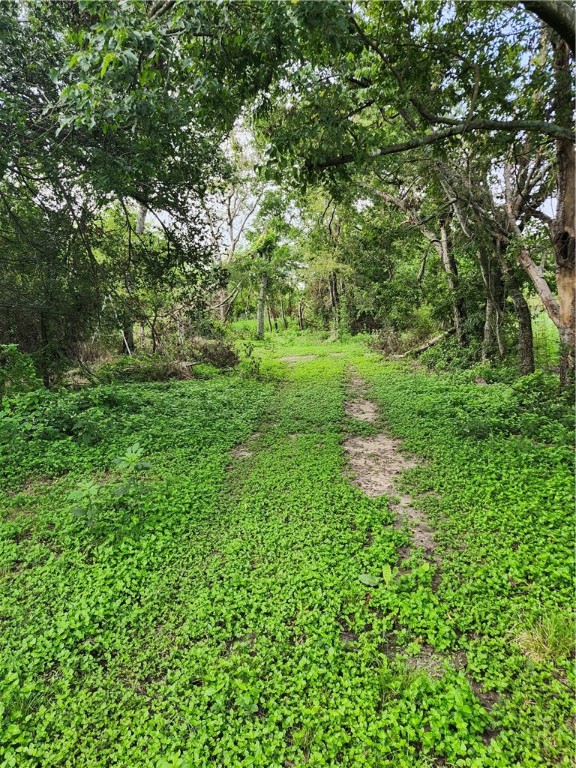 1202 Park Street Marlin, TX 76661 - Photo 14 of 17