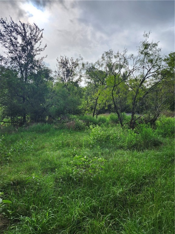 1202 Park Street Marlin, TX 76661 - Photo 16 of 17