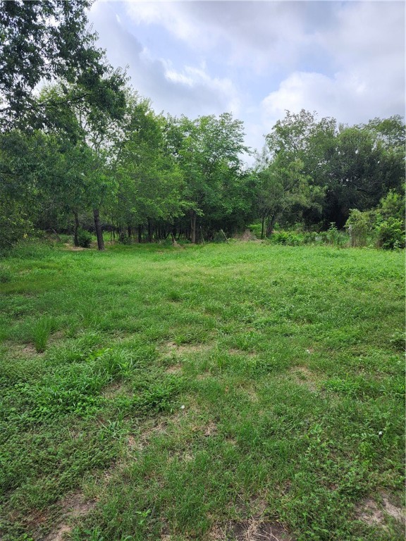 1202 Park Street Marlin, TX 76661 - Photo 17 of 17