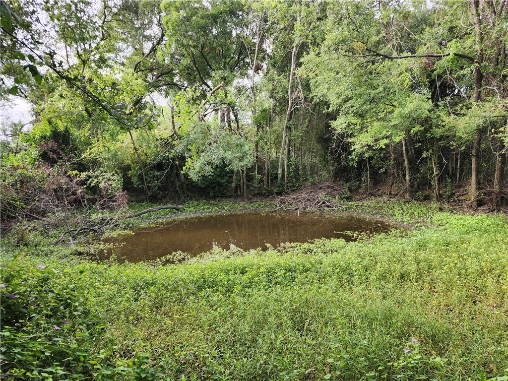 1202 Park Street Marlin, TX 76661 - Photo 3 of 17