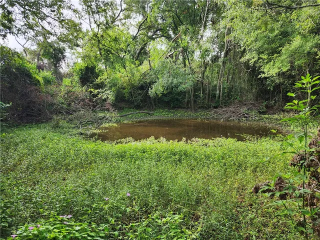 $100,000 | 1202 Park Street, Marlin, TX 76661