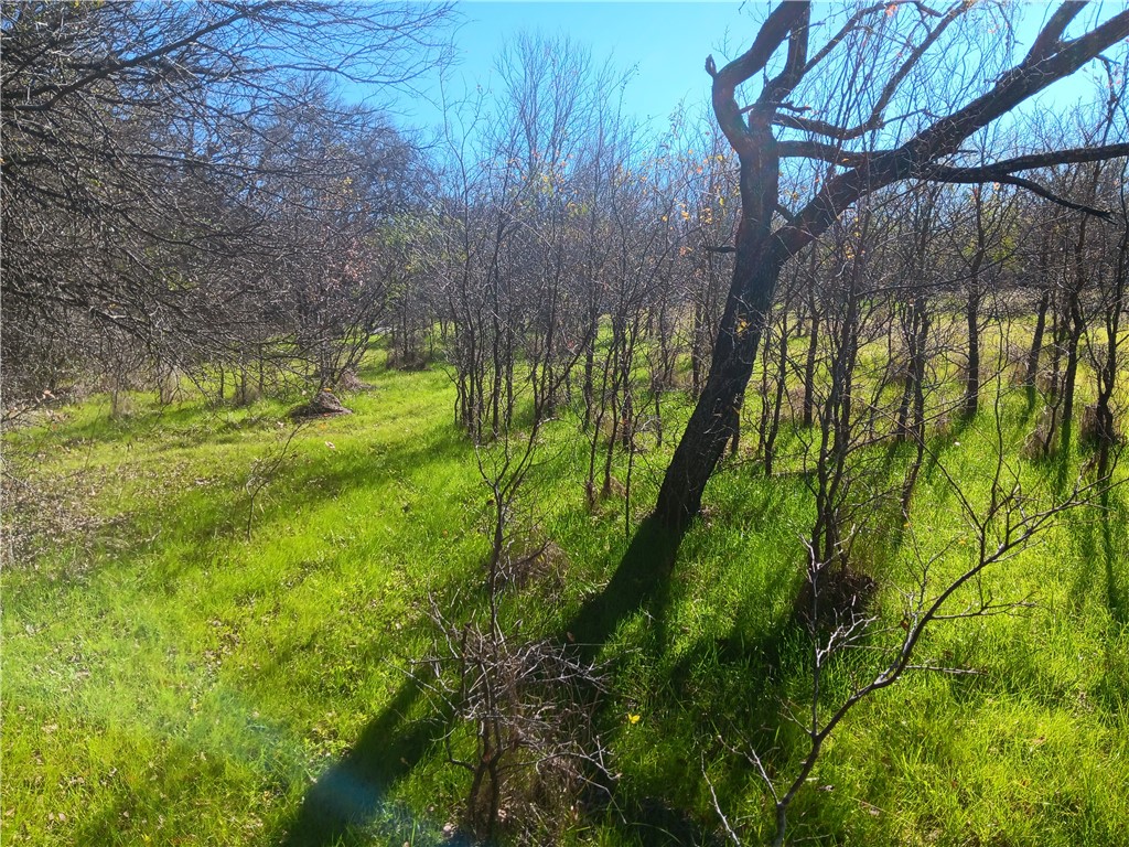 1202 Park Street Marlin, TX 76661 - Photo 6 of 17