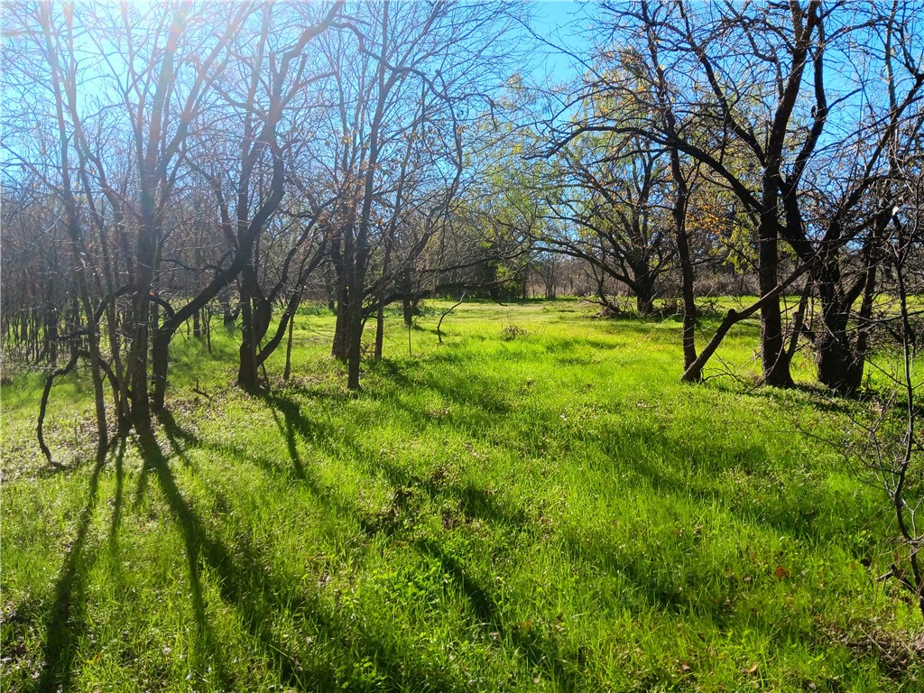 1202 Park Street Marlin, TX 76661 - Photo 7 of 17