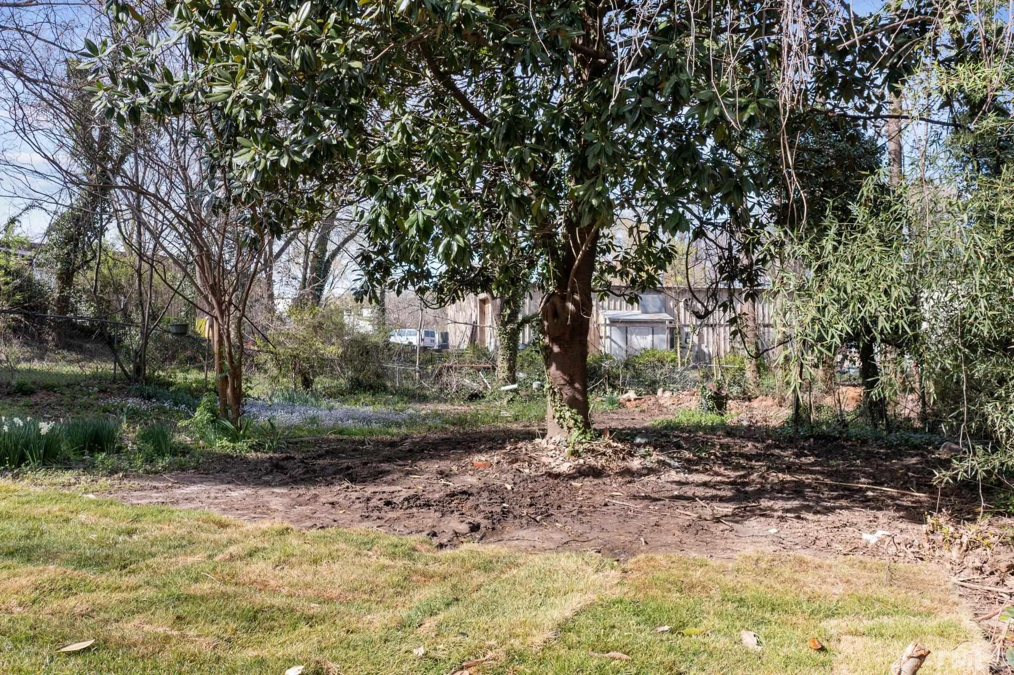 2908 Woods Place Raleigh, NC 27607 - Photo 11 of 38 a view of a yard with plants and trees
