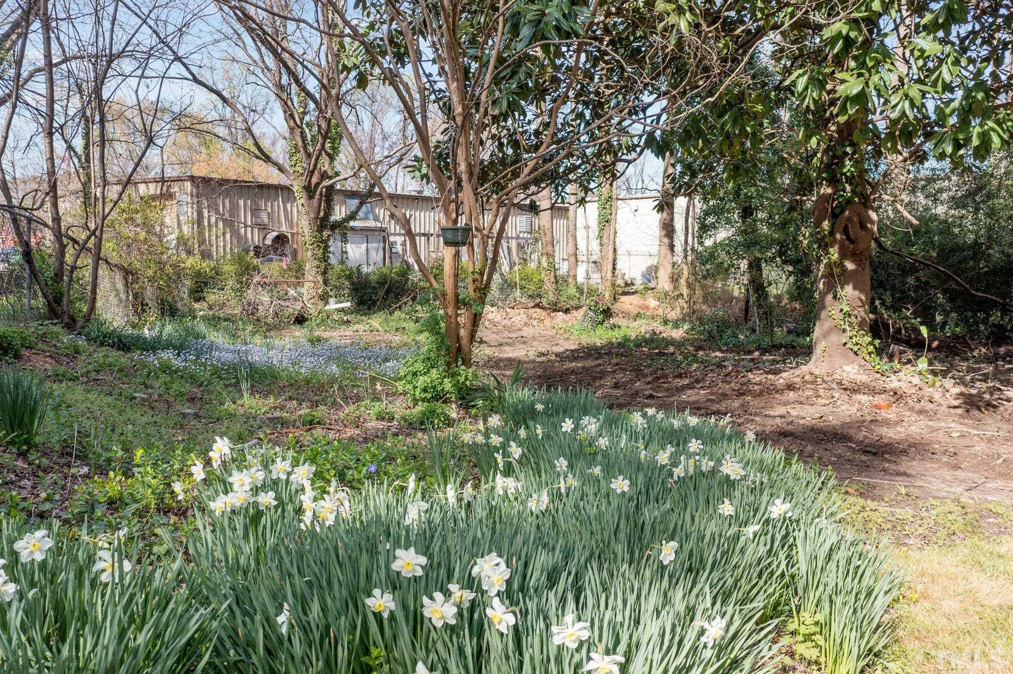 2908 Woods Place Raleigh, NC 27607 - Photo 7 of 38 a view of a yard with plants and trees