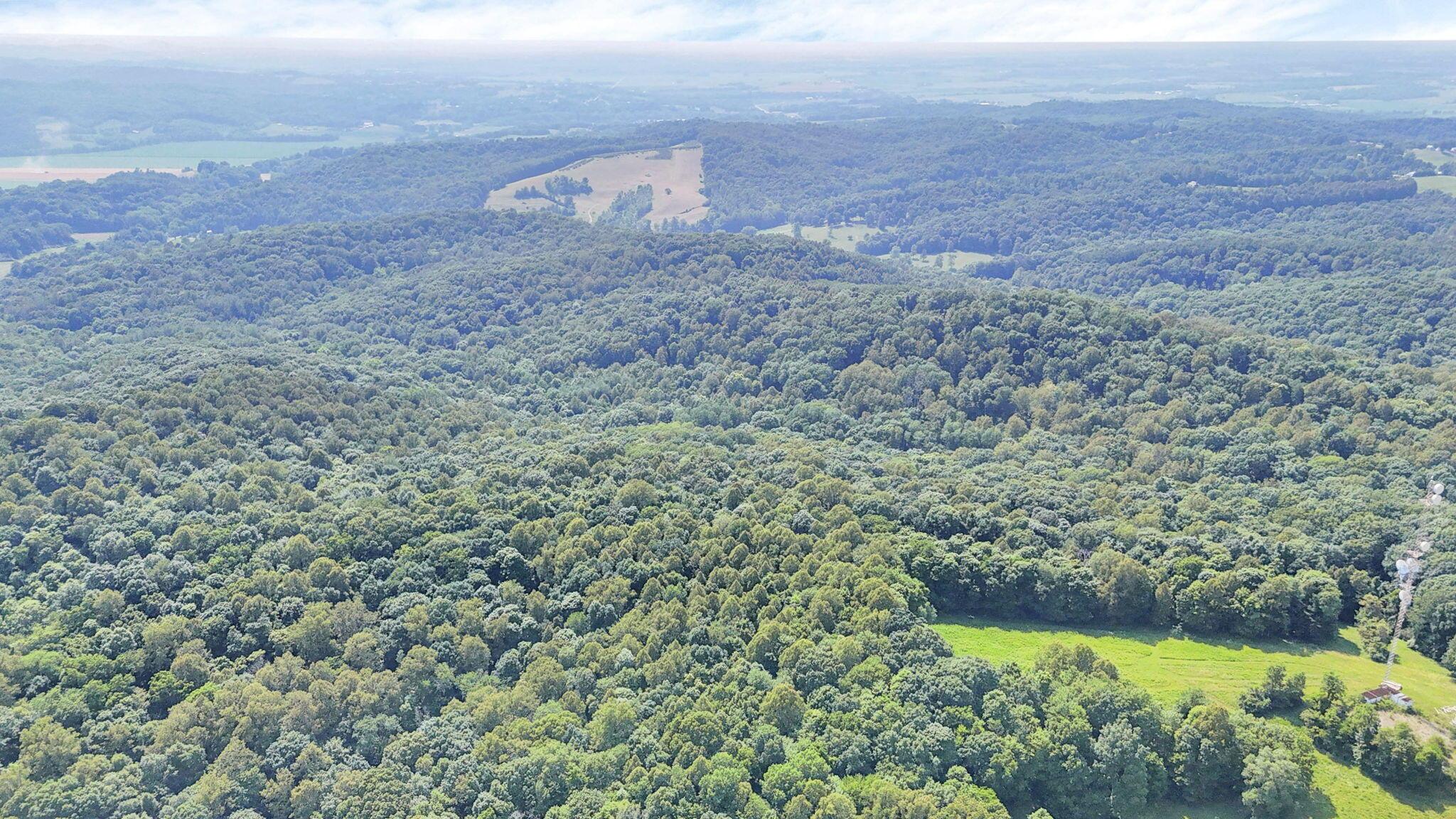 0 Thad Hall Road Laurelville, OH 43135 - Photo 19 of 28 9-web-or-mls-DJI_20240621161315_0069_D